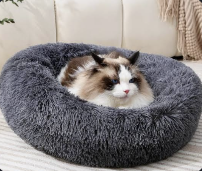 Pet Bed